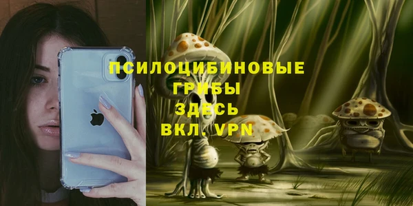 крисы Новокубанск