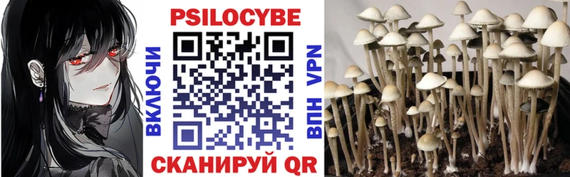 Галлюциногенные грибы Magic Shrooms  мориарти состав  Мурино 